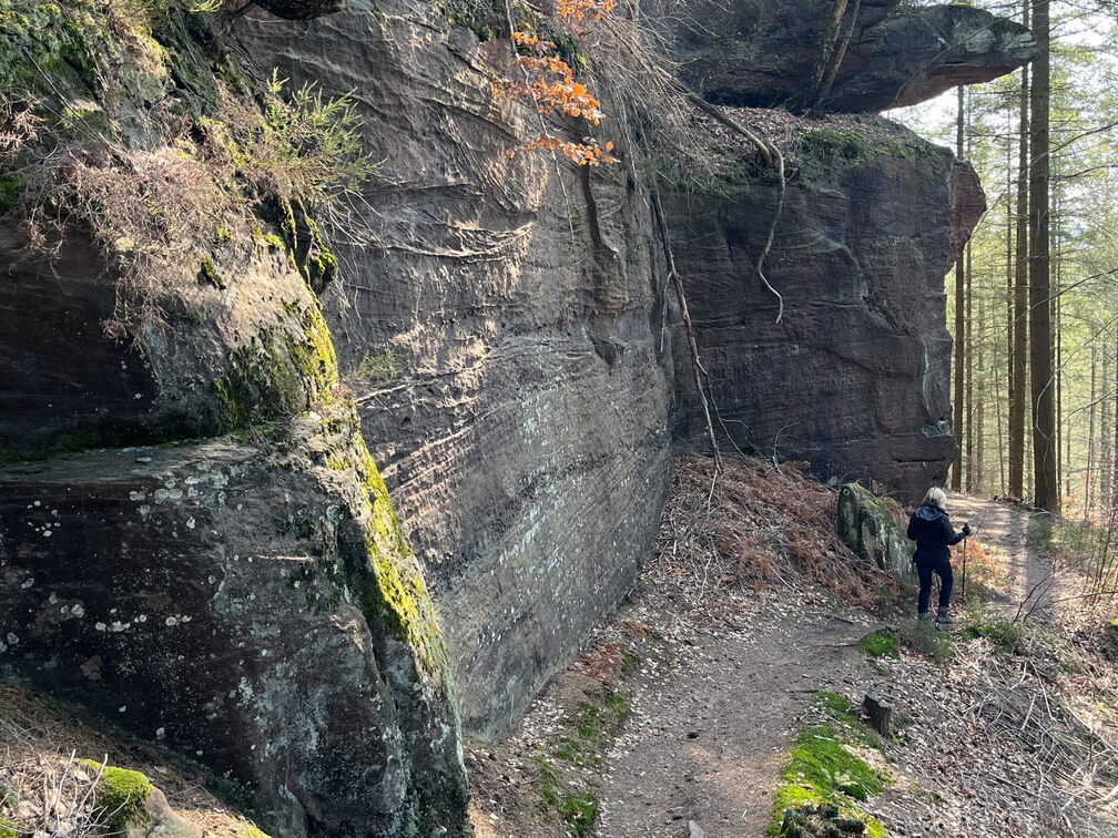 23-03-03 12-03-27 4629